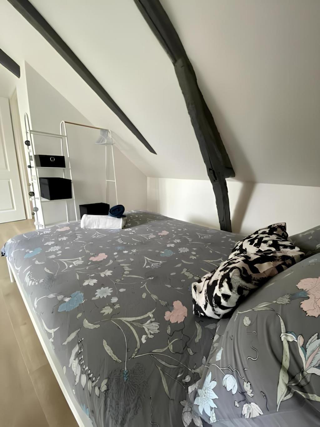 Maison Familiale Avec Exterieur Menage Et Linges Inclus Rouen Ngoại thất bức ảnh